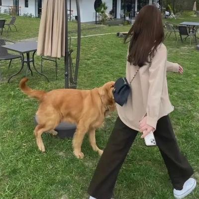 狗剩快跑