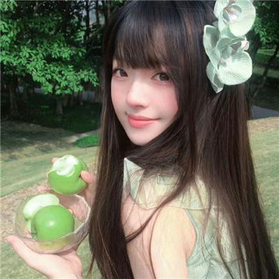 金粉世家