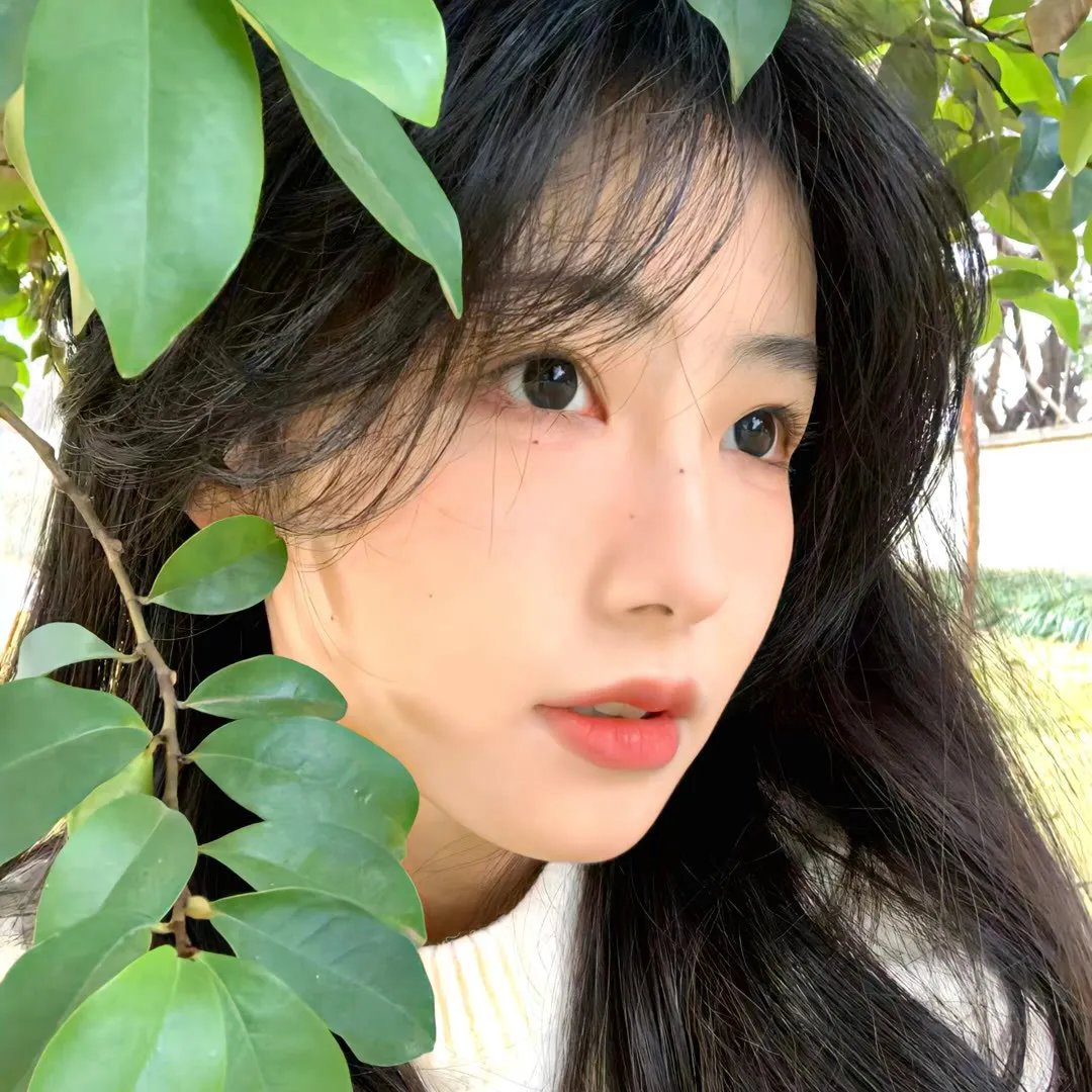 首选列表